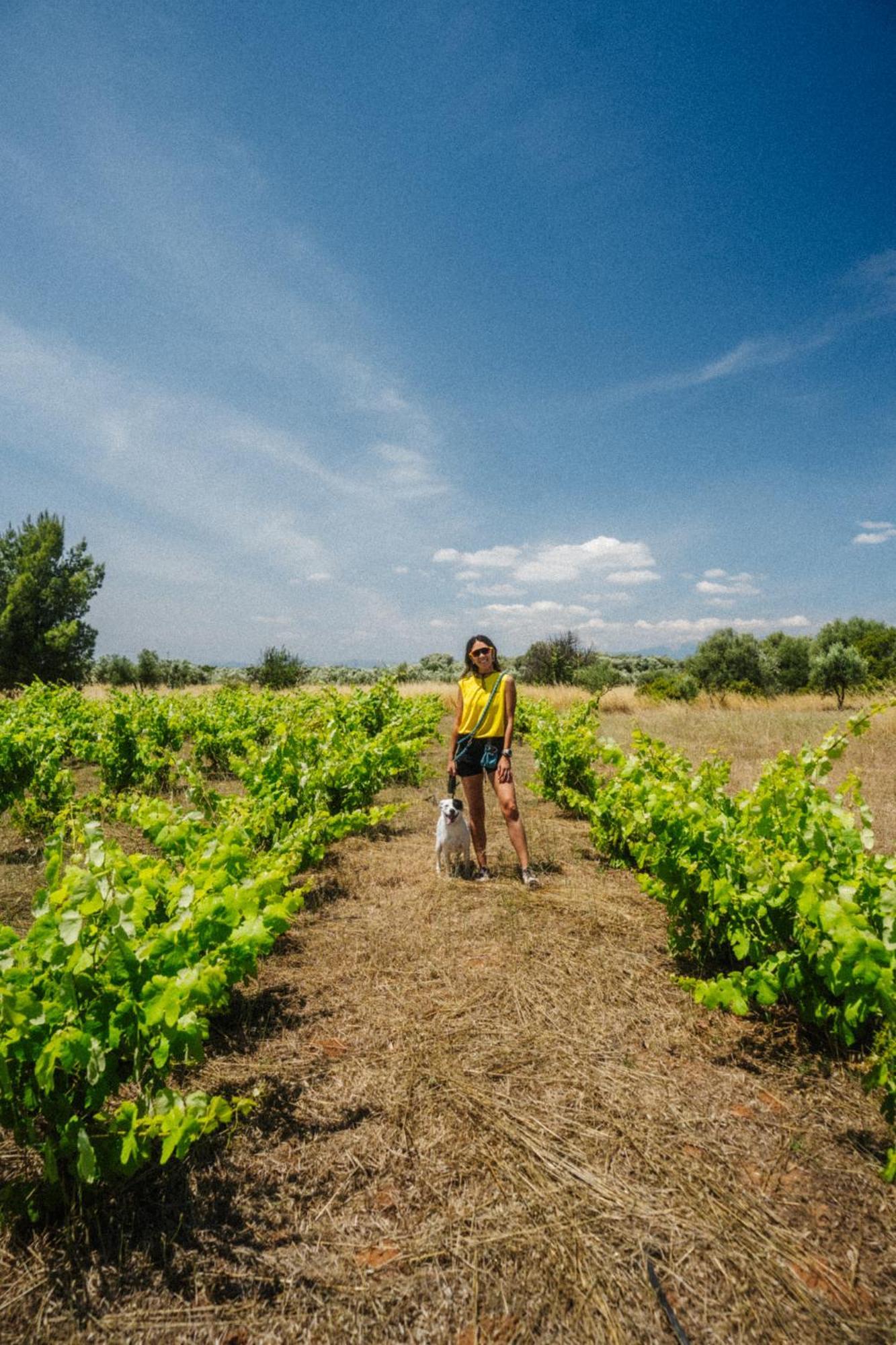 Eumelia Organic Agrotourism Farm Hotell Goúvai Eksteriør bilde