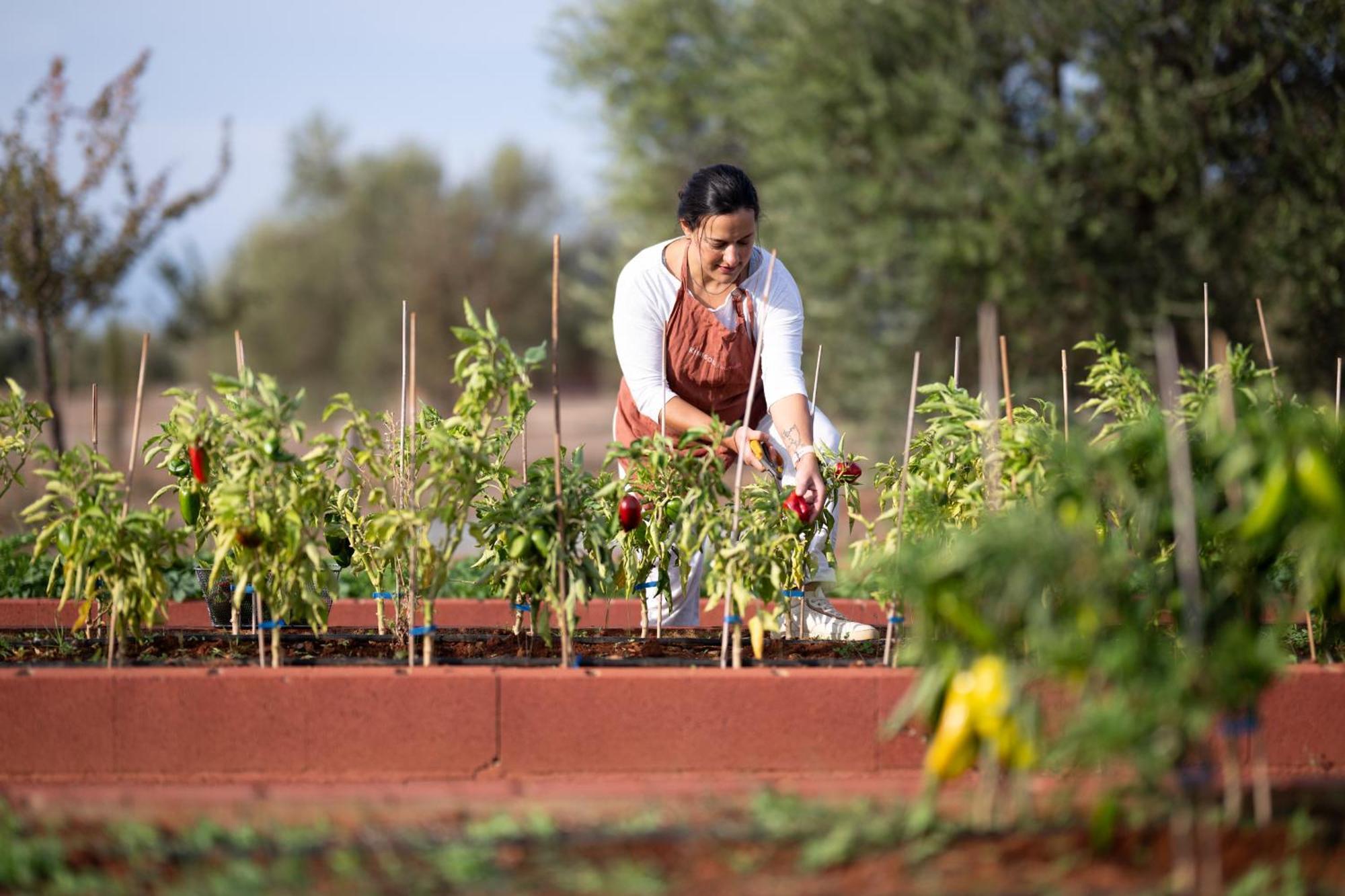 Eumelia Organic Agrotourism Farm Hotell Goúvai Eksteriør bilde